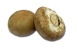 metolius valley white button mushroom